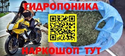 прущая мука Донецк