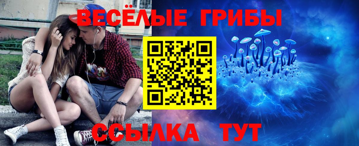 Псилоцибиновые грибы мухоморы Миллерово