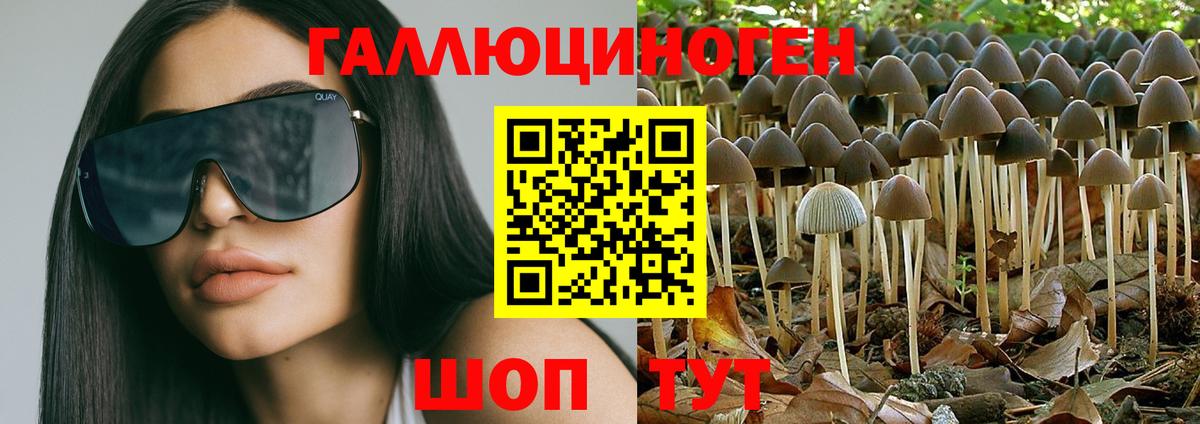 Галлюциногенные грибы мухоморы  Вход с VPN  Миллерово  Псилоцибиновые грибы Cubensis 
